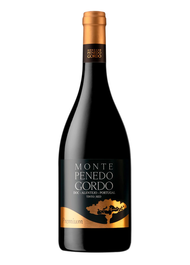Herdade Penedo Gordo Monte Penedo Gordo Tinto 2020