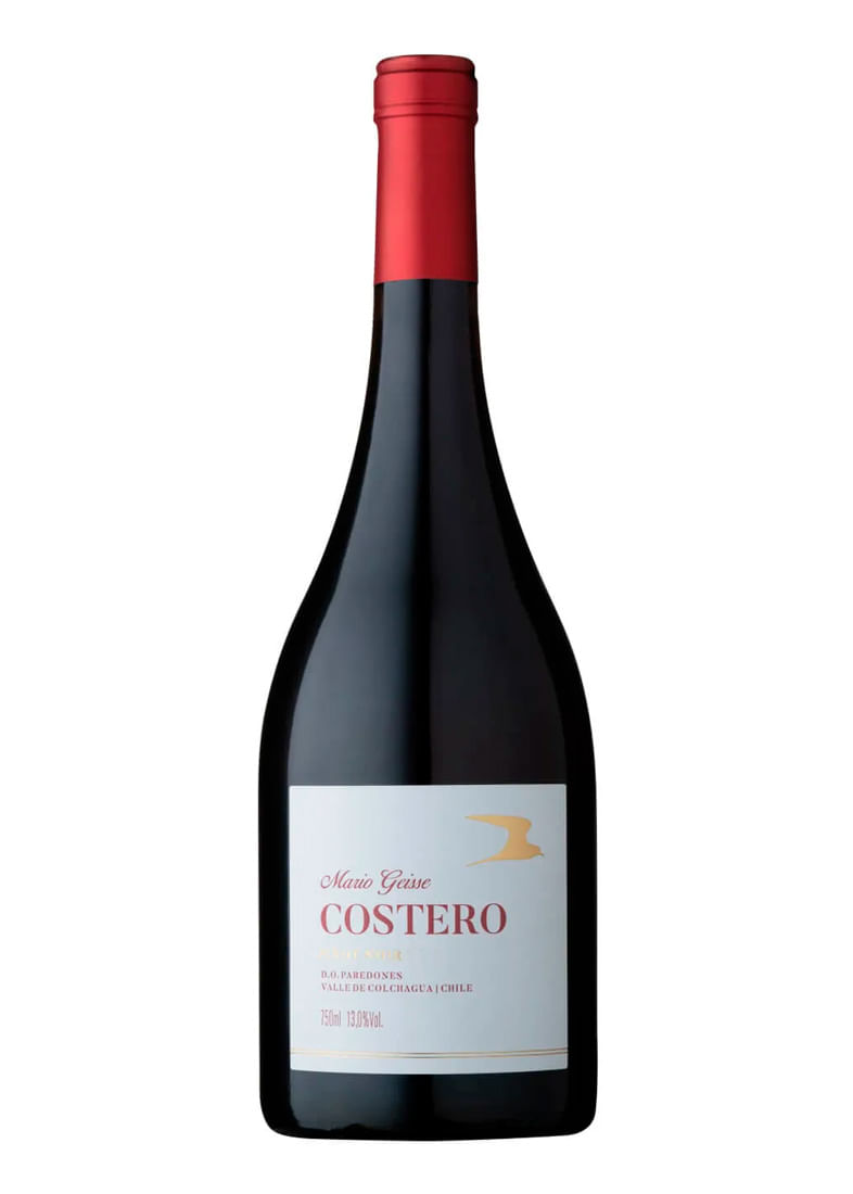 Mario Geisse Costero Pinot Noir 2023