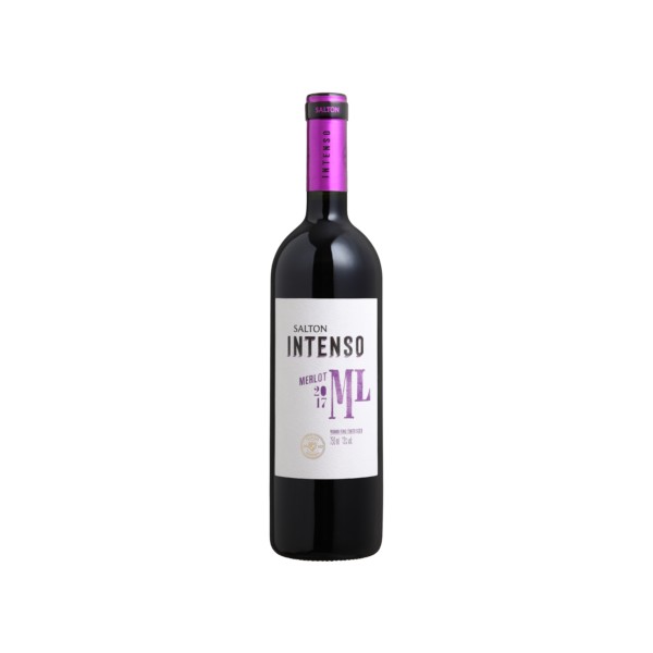 Salton Intenso Merlot