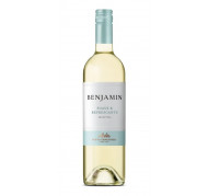 Nieto Senetiner Benjamin Suave & Refrescante Blanco