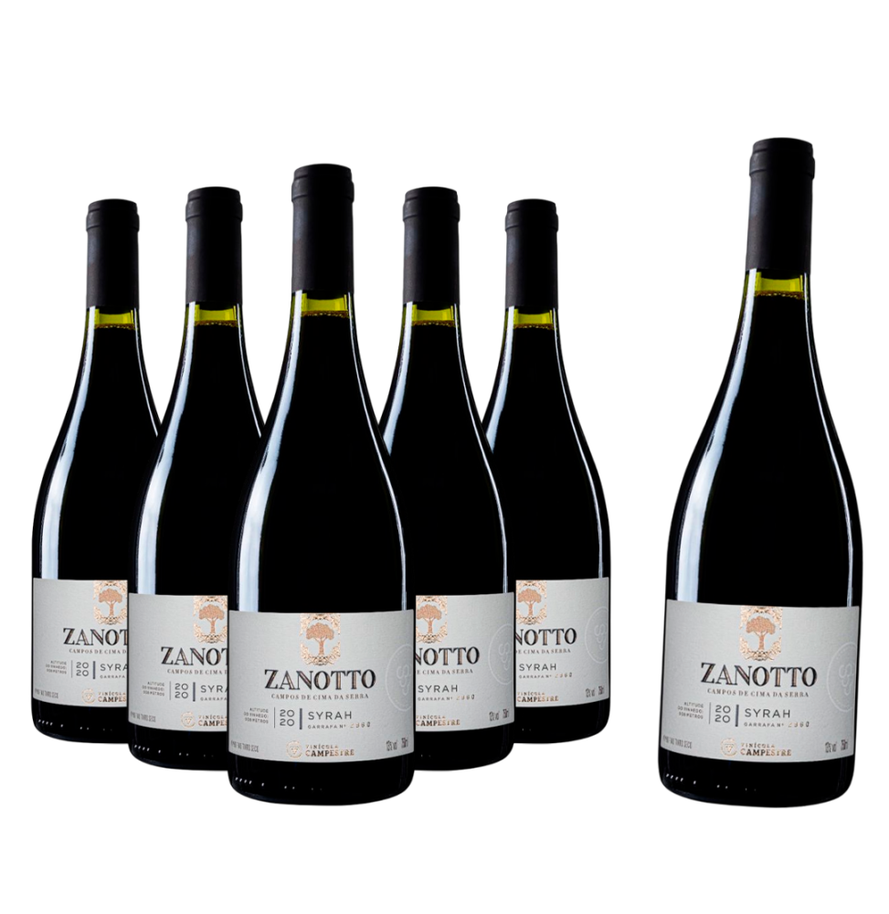 Zanotto Syrah (6 garrafas)