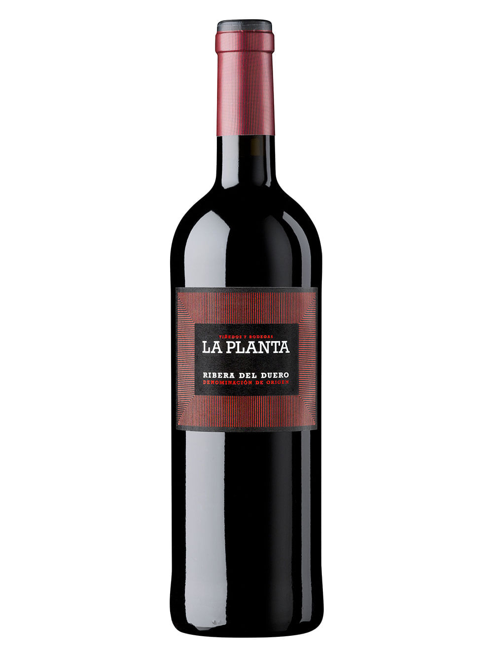 Arzuaga La Planta 2022