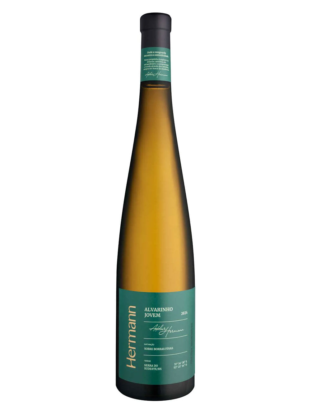 Vincola Hermann Alvarinho Jovem 2024