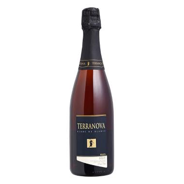 Terranova 