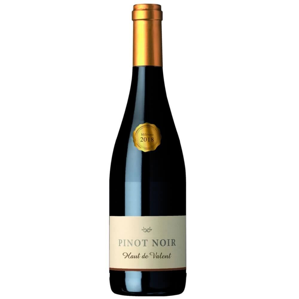 Pierre & Remy Gauthier Haut de Valent Pinot Noir