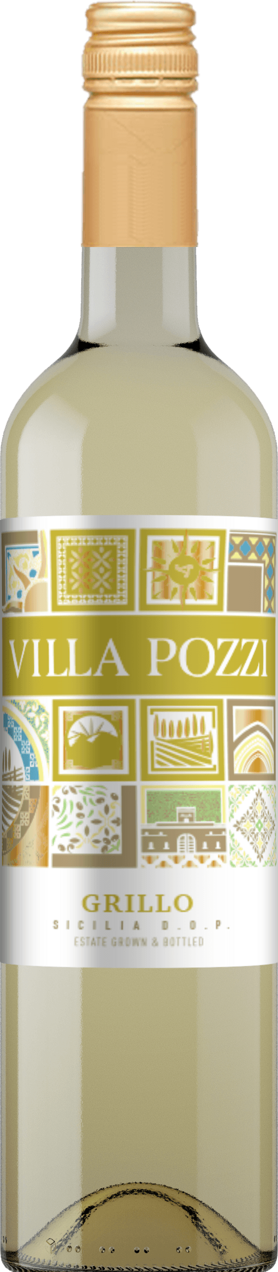 Villa Pozzi 