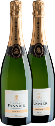 Pannier Slection Brut Champagne (2 garrafas)