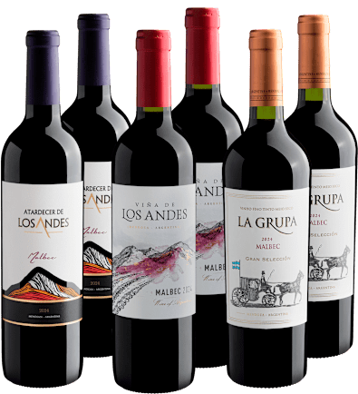 Kit Malbecs Em Dobro | Por R$29,90 Cada* (6 unidades)
