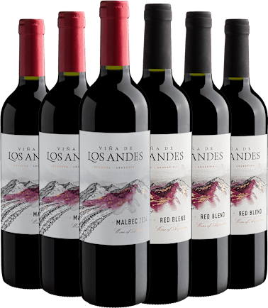 Kit Vina De Los Andes | 3 Malbec + 3 Red Blend Por R$29,90 Cada Garrafa (6 unidades)