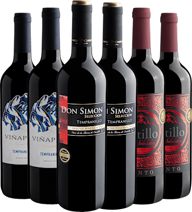 Kit Best Sellers Espanhois | 2 Don Simon + 2 Vinapena + 2 El Sotillo (6 unidades)