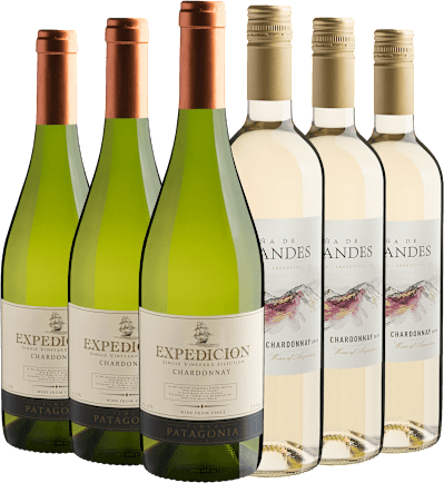 Kit 6 Chardonnays Por R$28,90 Cada Garrafa (6 unidades)