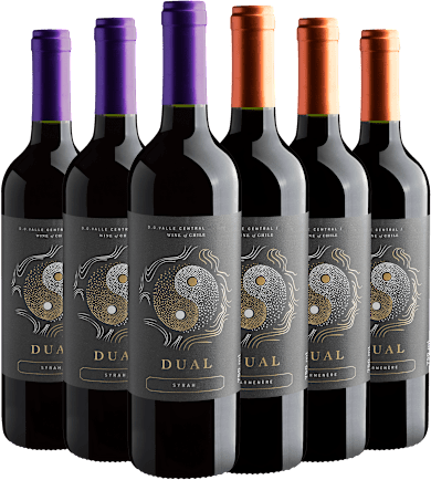Kit Linha Dual | 3 Carmenere + 3 Syrah (6 unidades)