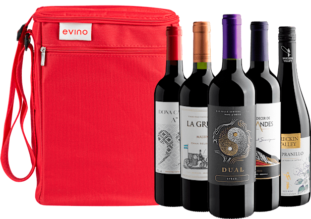 Kit 5 Tintos Versateis + Bolsa Termica (5 unidades)