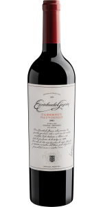Escorihuela Gascn Cabernet Sauvignon