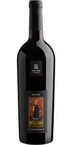 Xavier Vignon Arcane La Temprance