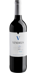 Vindius Mencia 2021