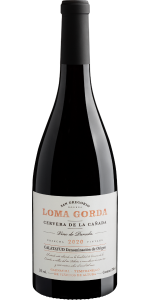 San Gregorio Loma Gorda Cervera de la Caada 2020