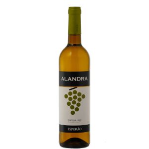 Esporo Alandra Branco 2023