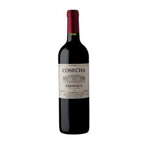 Tarapac Cosecha Carmenre 2023