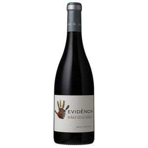 Evidncia Tinto 2019