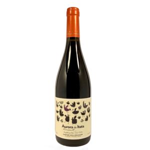 Carter Mollenhauer Aurora de Itata Cinsault 2021