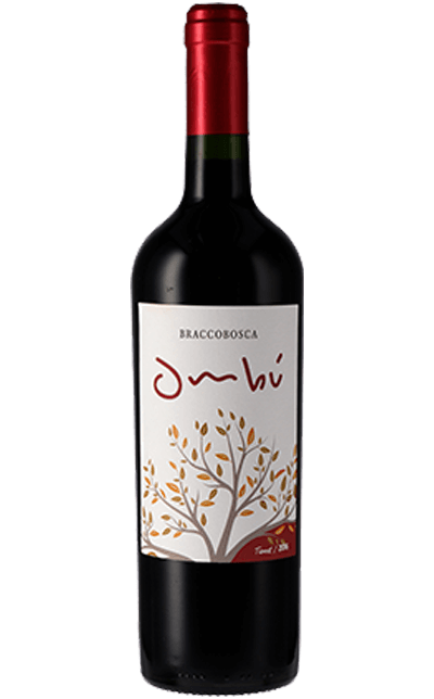 Braccobosca Omb Tannat 2022
