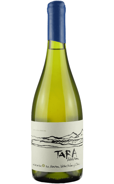 Ventisquero Tara White 1 2019