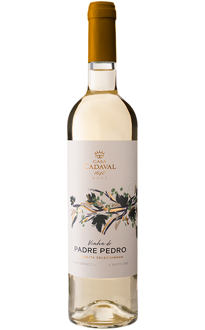 Casa Cadaval Padre Pedro Branco 2022