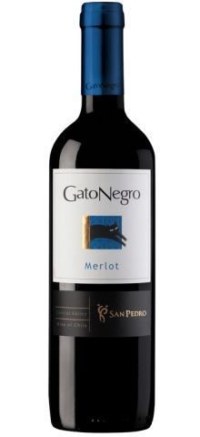 Gato Negro 