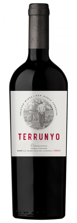 Terrunyo Carmnre Peumo Vineyard Block 27