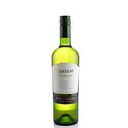 Ventisquero Queulat Gran Reserva Sauvignon Blanc
