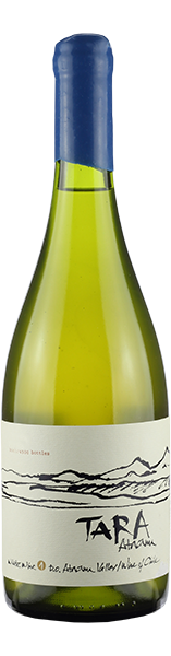 Ventisquero Tara White 1
