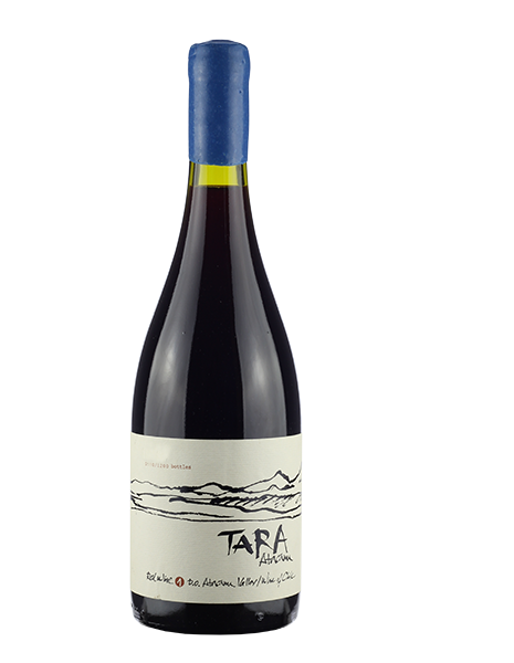 Ventisquero Tara Red 1 2019