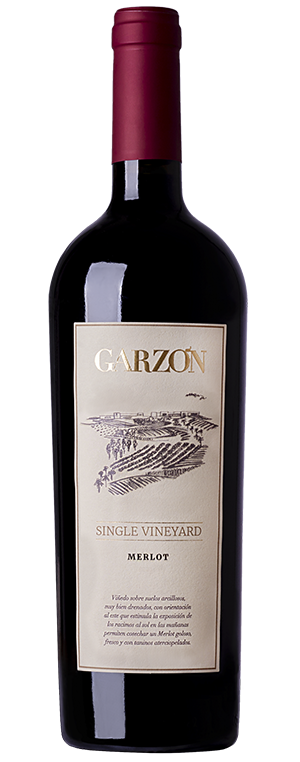 Bodega Garzn Single Vineyard Merlot