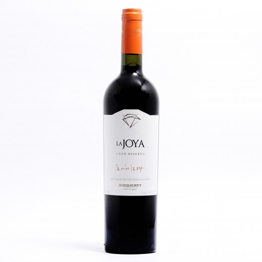 Bisquertt Family Vineyards La Joya Gran Reserva Merlot