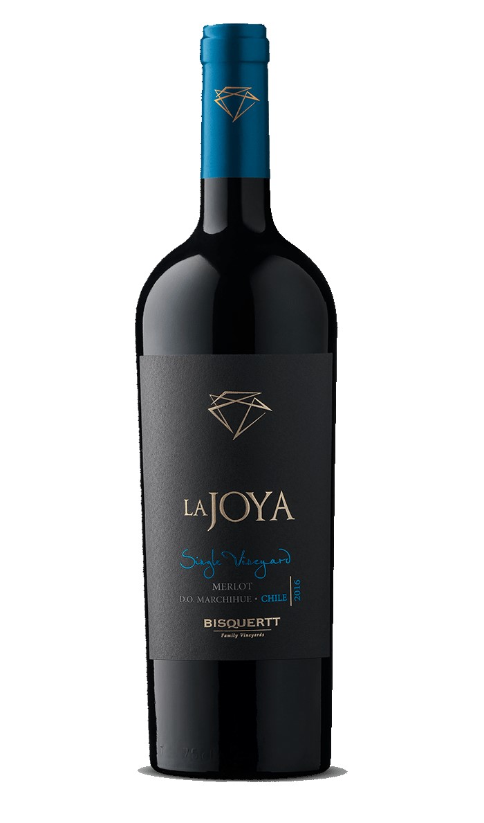 Bisquertt Family Vineyards La Joya Single Vineyard Merlot