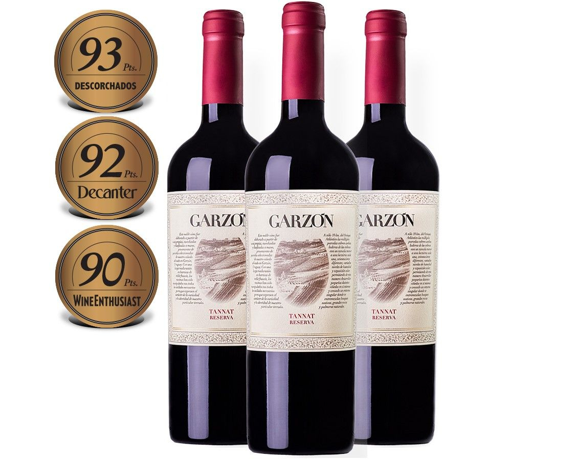 Bodega Garzn  (3 garrafas)