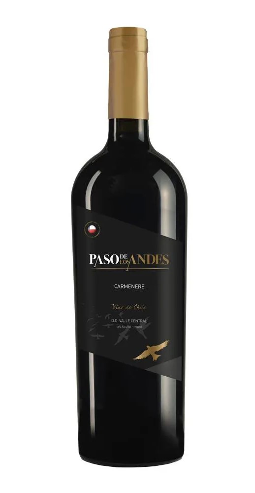 Paso de Los Andes Carmenere