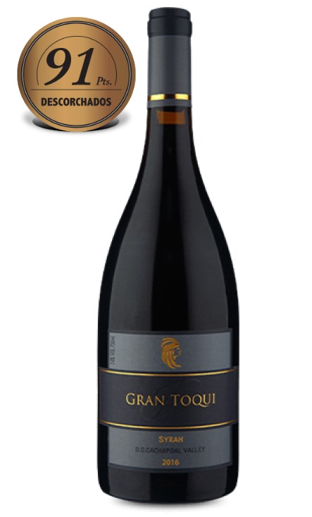 Via Casas del Toqui Gran Toqui Syrah