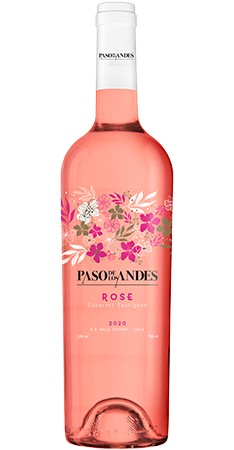 Paso de Los Andes Cabernet Sauvignon Ros