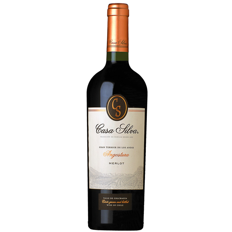 Casa Silva Gran Terroir de Los Andes Angostura Merlot