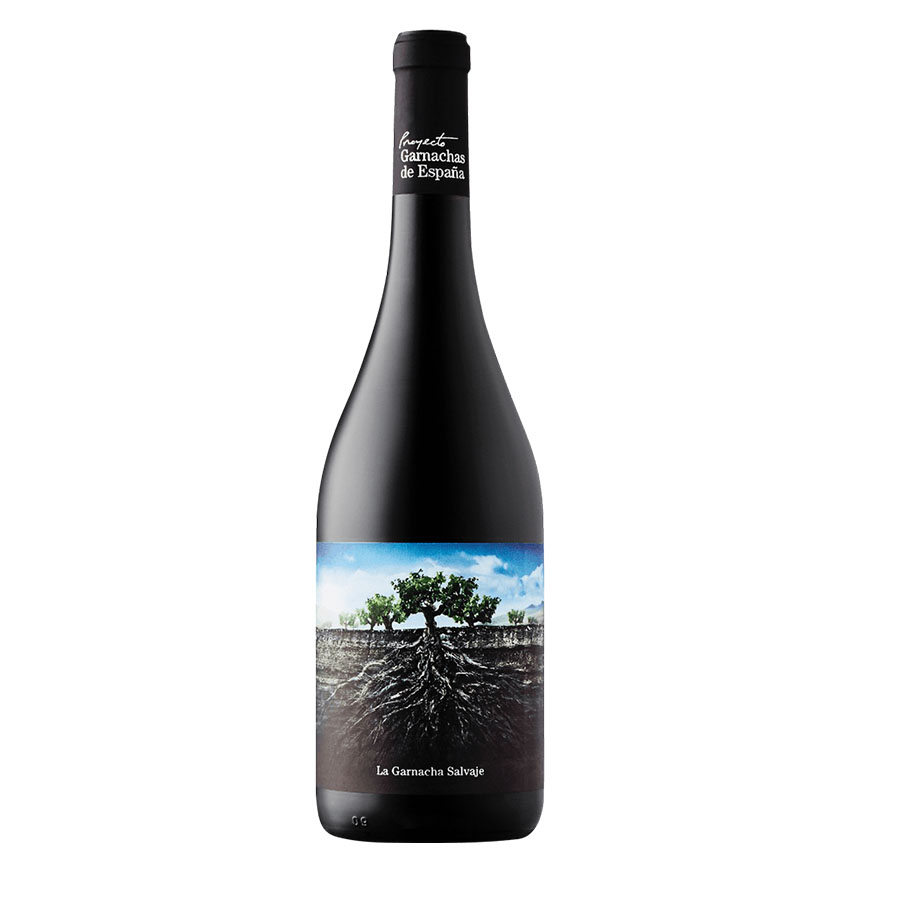 Proyecto Garnachas de Espaa La Garnacha Salvaje del Moncayo