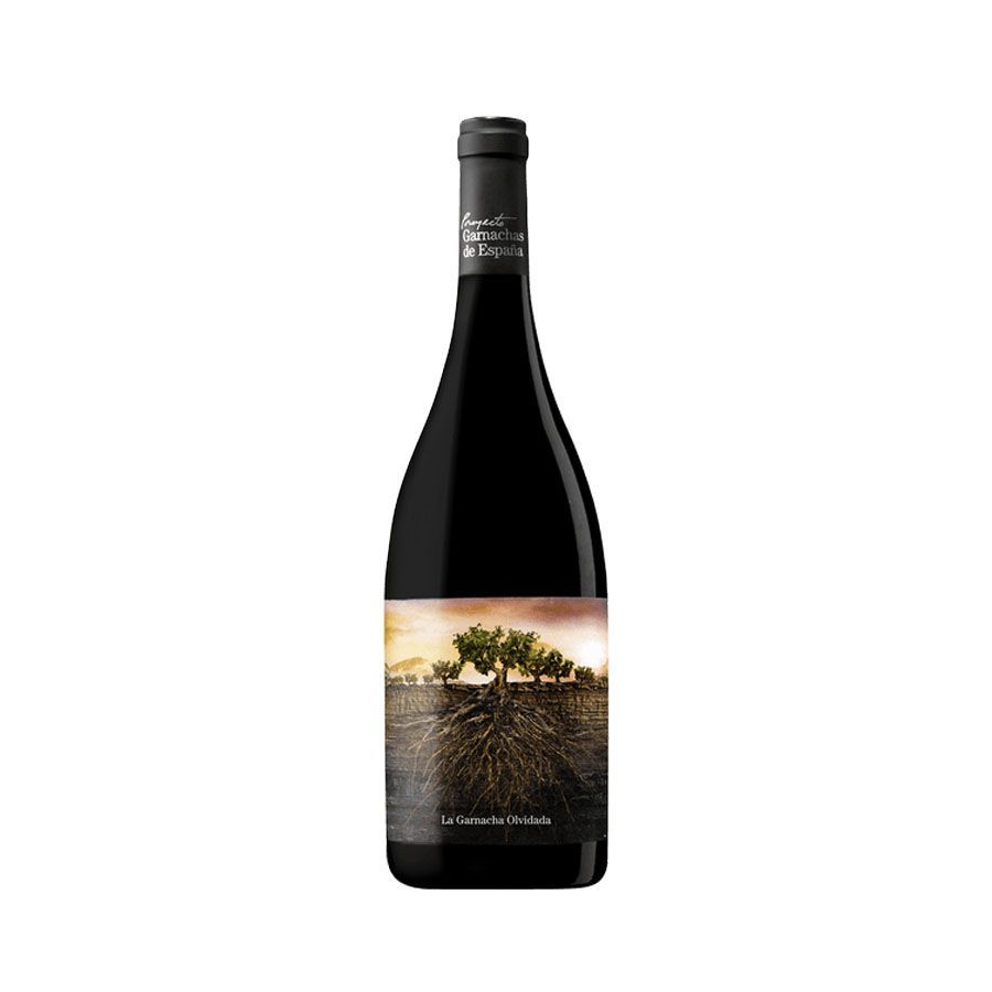 Proyecto Garnachas de Espaa La Garnacha Olvidada de Aragn