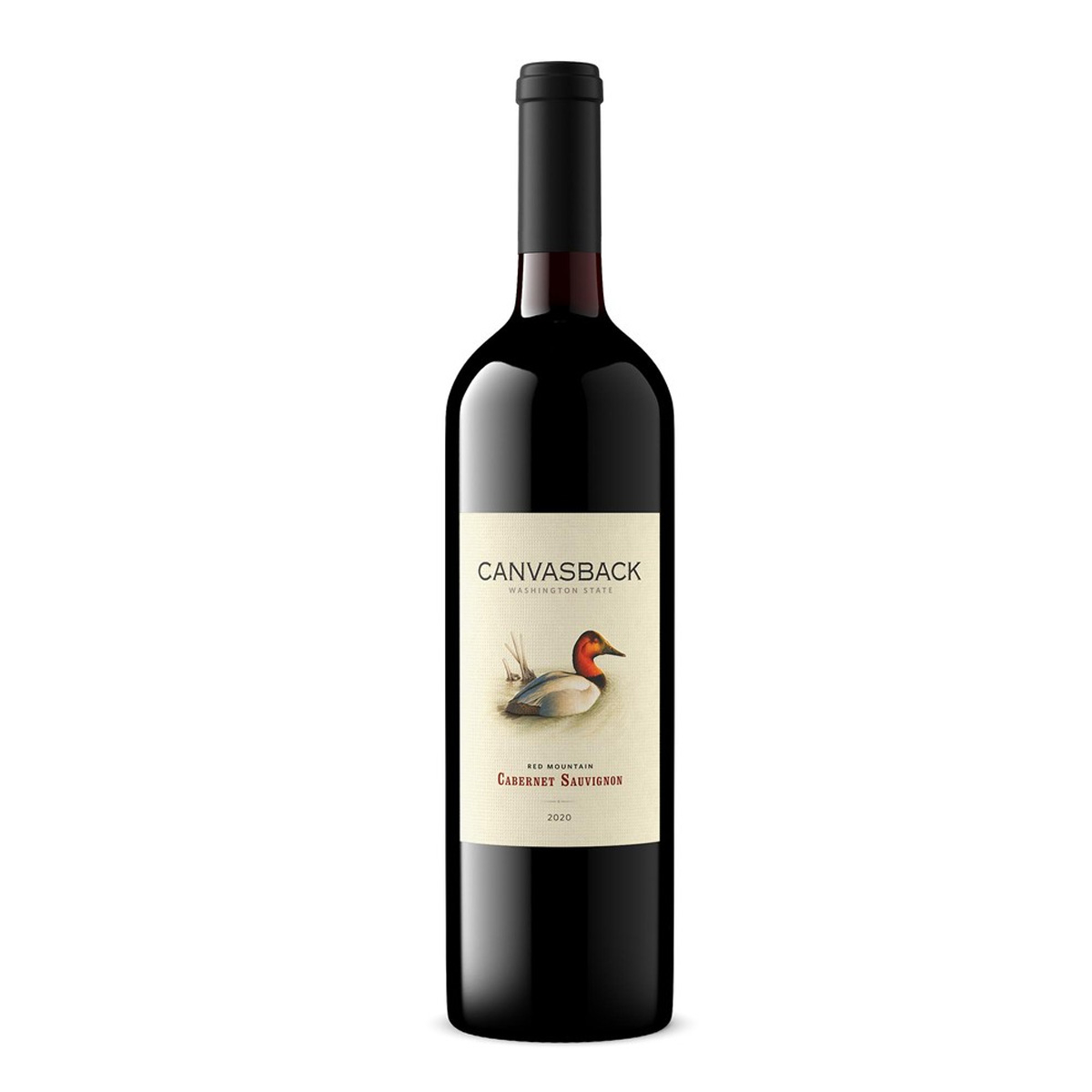 Canvasback 