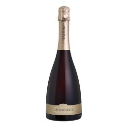 Salton vidence Cuve Brut
