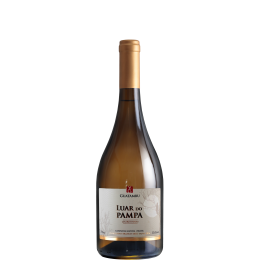Vincola Guatambu Luar do Pampa Chardonnay