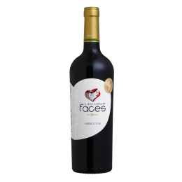 Lidio Carraro Faces FIFA World Cup Tinto