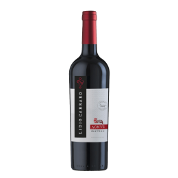 Lidio Carraro Agnus Malbec