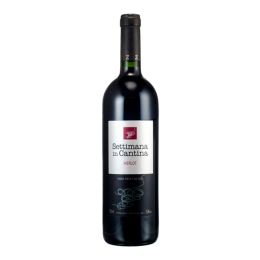 Settimana in Cantina Merlot