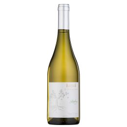 Terrasul Riesling